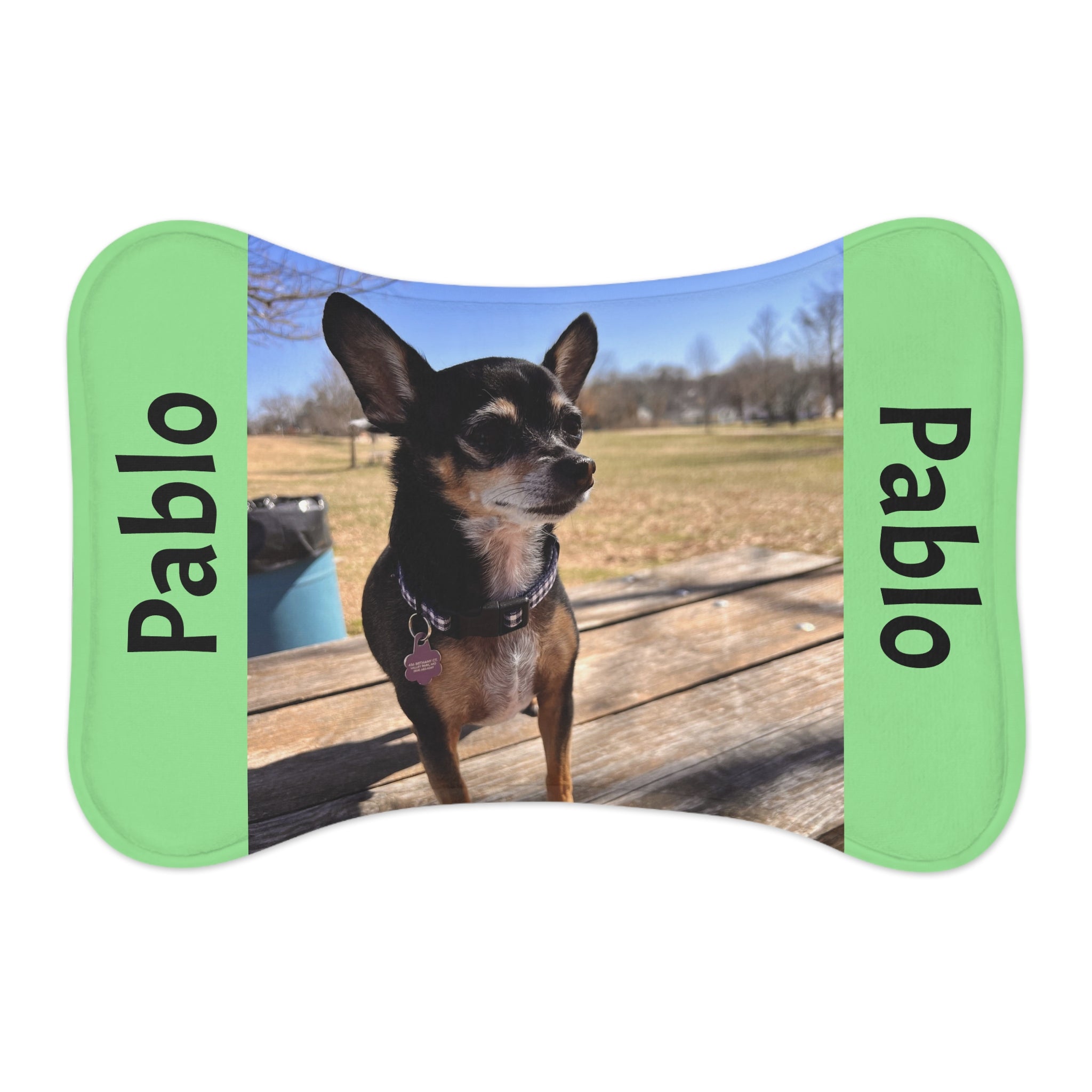 Personalized Pet Feeding Mat — Custom Photo & Name Dog Bowl Placemat