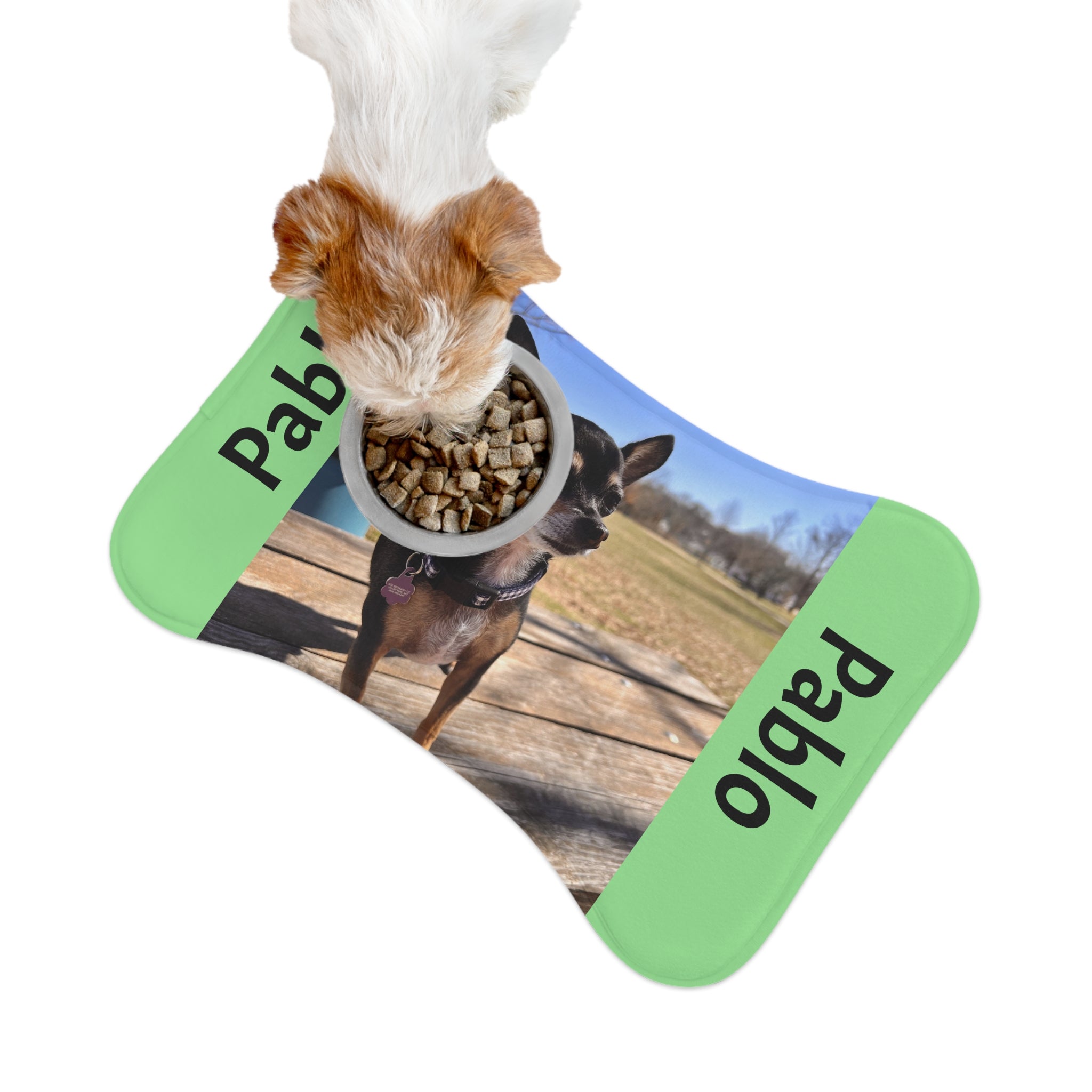 Personalized Pet Feeding Mat — Custom Photo &amp; Name Dog Bowl Placemat