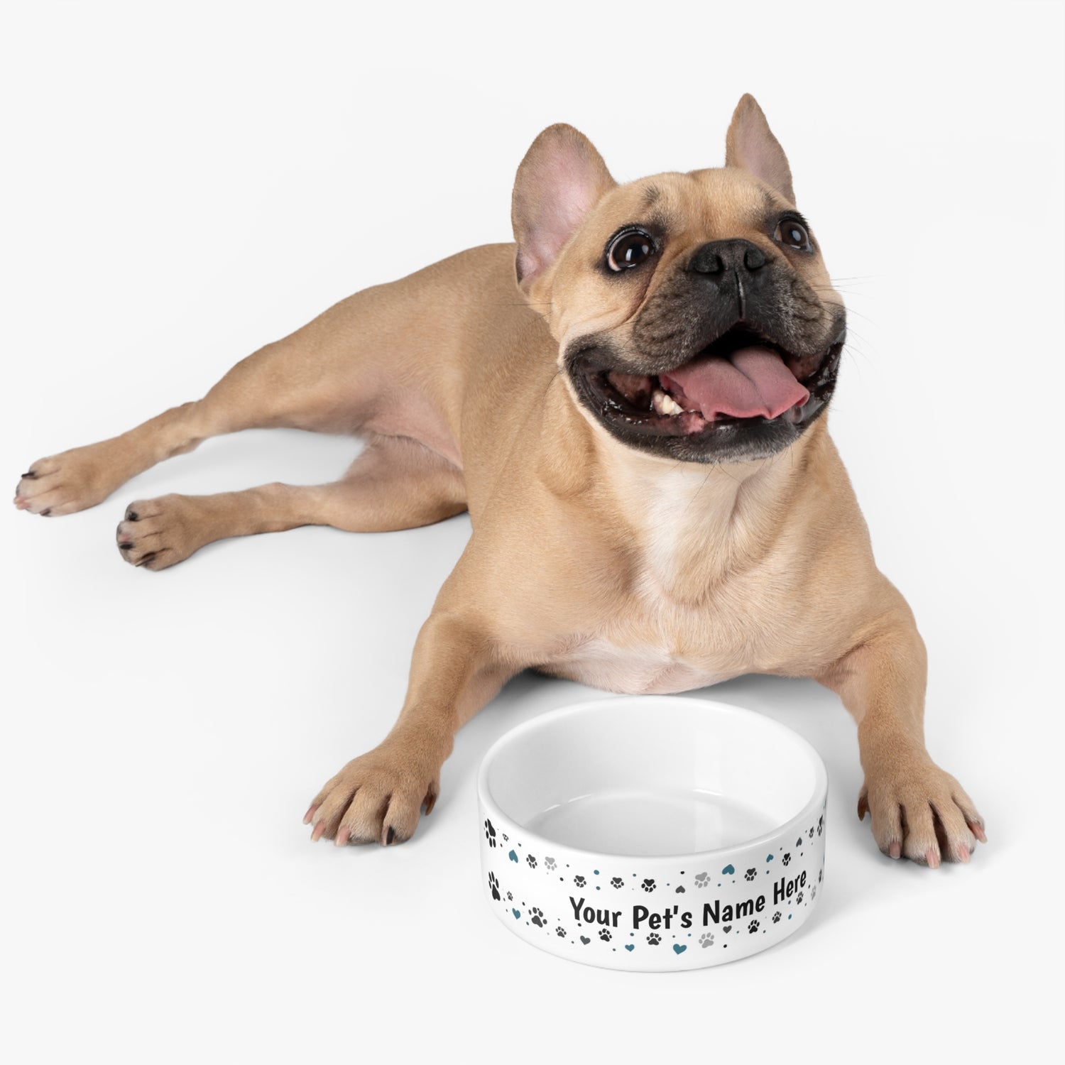 Personalized Pet Bowl — Custom Name Ceramic Dog &amp; Cat Bowl